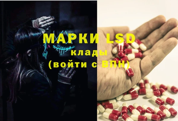 гидра Беломорск