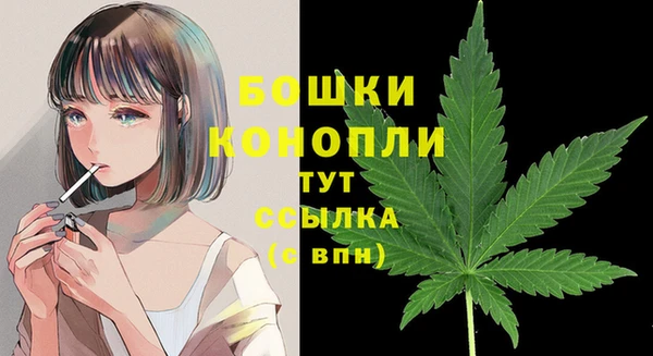 МДПВ Белокуриха