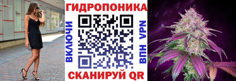 Шишки марихуана OG Kush  закладка  Петропавловск-Камчатский 